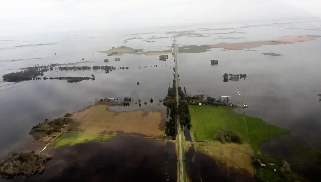 La Provincia prorrogó la emergencia agropecuaria por inundaciones en Guaminí y Coronel Suárez, con alivios impositivos y beneficios crediticios.