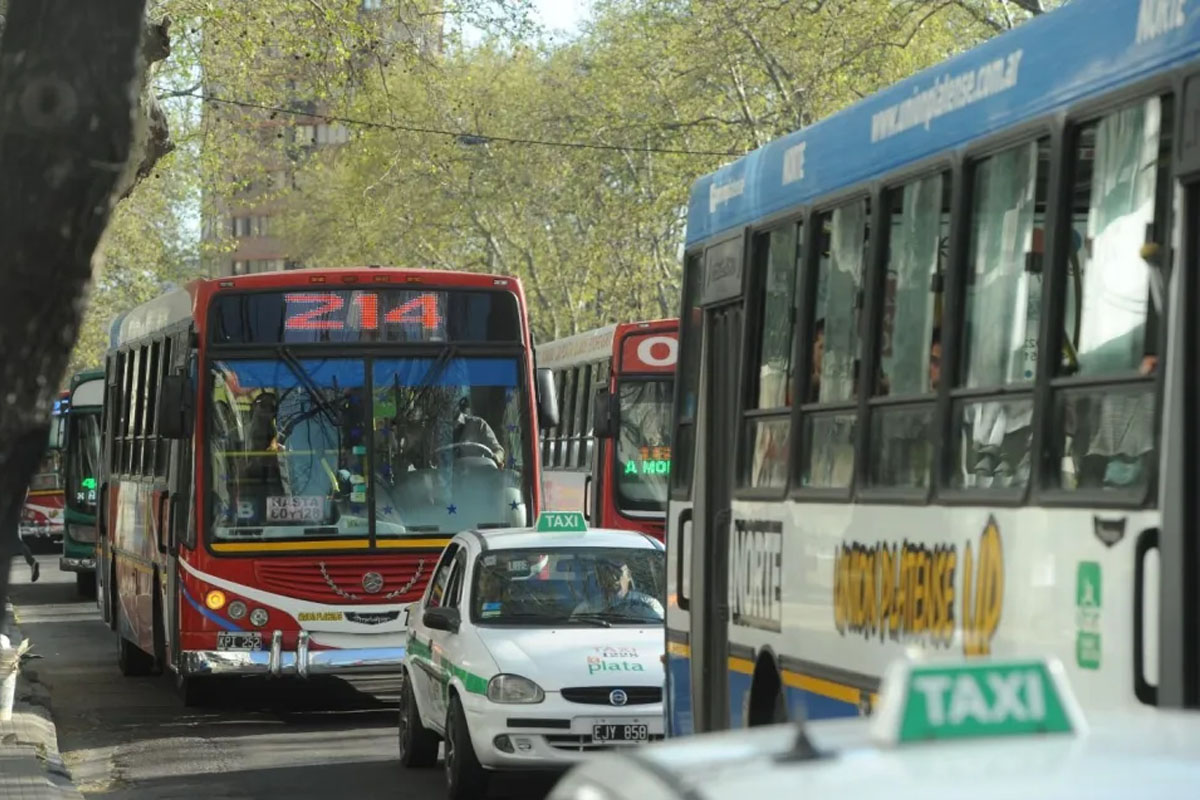 El nuevo recorrido de colectivos en La Plata incorporará una Zona Centro y una Zona de Complementariedad.