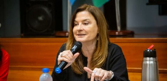 La ministra de Mujeres, Estela Díaz, sostuvo que el accionar de la cartera ante las denuncias por presunto abuso en el Senado bonaerense fue con “celeridad y responsabilidad”.