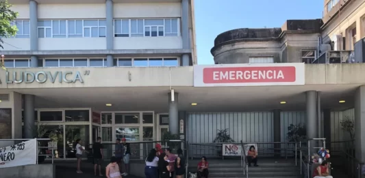 Según el Boletín Epidemiológico de la cartera sanitaria, en 2026 se registraron tres nuevos casos de hantavirus, de los cuales dos fallecieron.