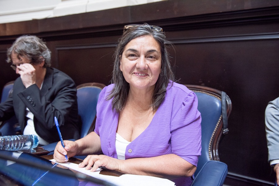 La diputada Mónica Schlotthauer calificó de "oscurantista" el proyecto Ley Penal Juvenil impulsado por el Gobierno nacional.