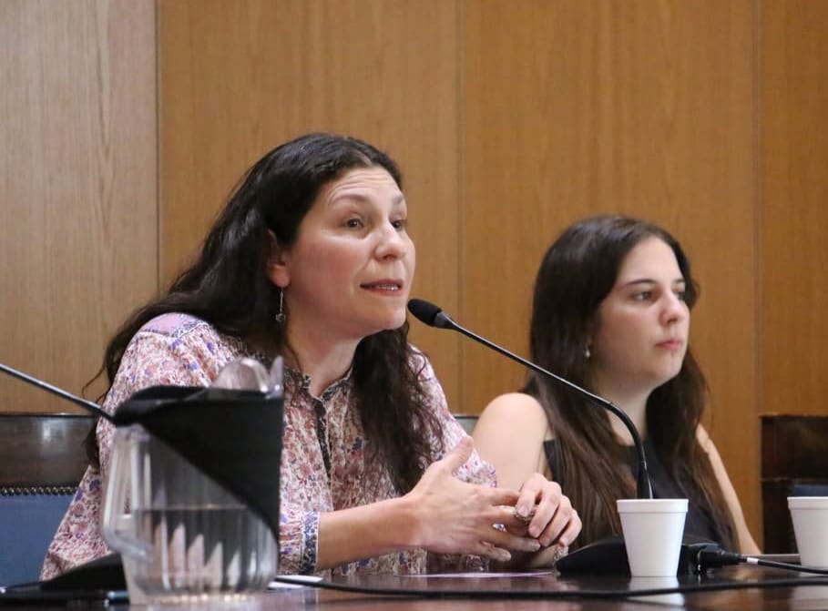 Desde el Senado bonaerense, Mónica Macha repudió el ataque de la patota digital libertaria a Cesaroni por sus críticas a la ley penal juvenil.