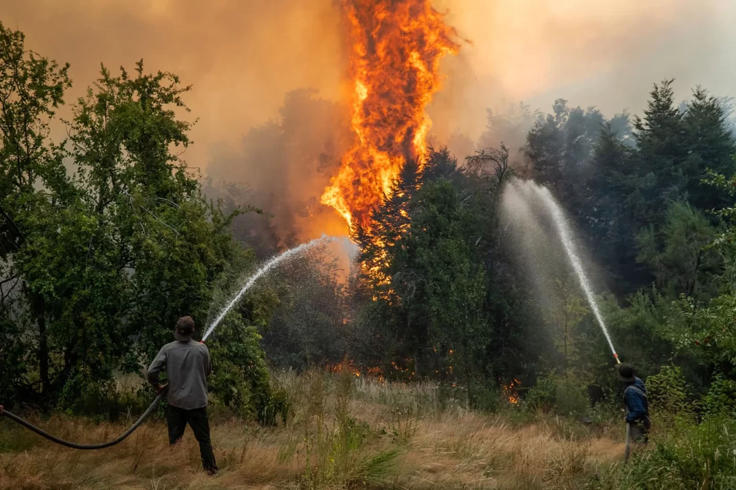 El gobierno de Javier Milei transfirió $100 millones a bomberos voluntarios para combatir los incendios en la Patagonia.