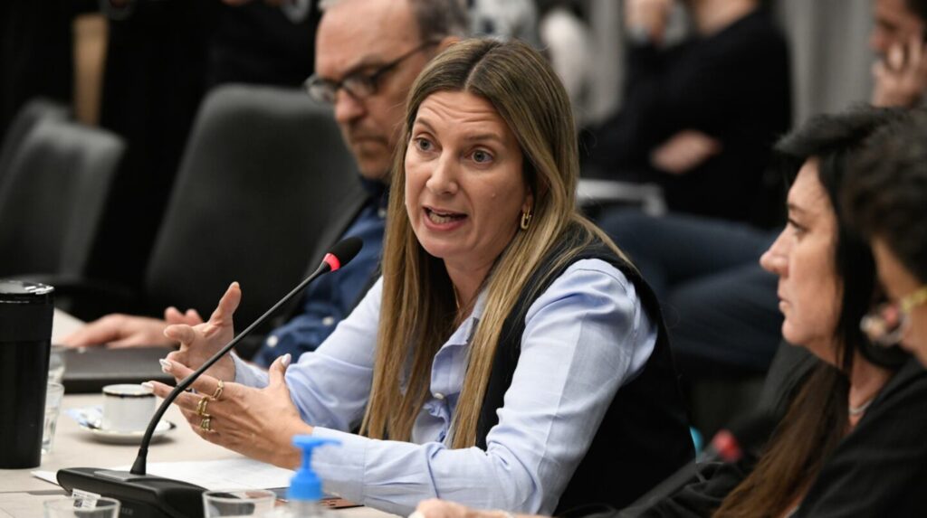 Un funcionario de la Provincia debatió en redes sociales con el jefe de Gobierno porteño y una legisladora de CABA por la atención a extranjeros en hospitales públicos.