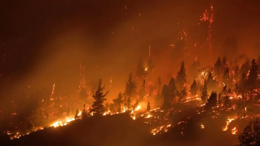 El gobierno de Javier Milei transfirió $100 millones a bomberos voluntarios para combatir los incendios en la Patagonia.