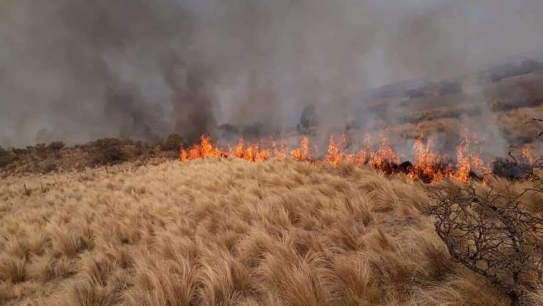En medio de la ola de calor, el Servicio Meteorológico Nacional (SMN) alertó a la provincia de Buenos Aires por riesgo extremo de incendios forestales.