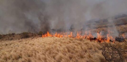 En medio de la ola de calor, el Servicio Meteorológico Nacional (SMN) alertó a la provincia de Buenos Aires por riesgo extremo de incendios forestales.