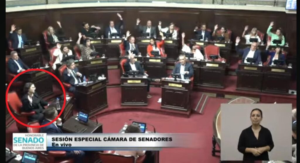 La senadora de Carolina Piparo votando la reforma jubilatoria del Bapro.