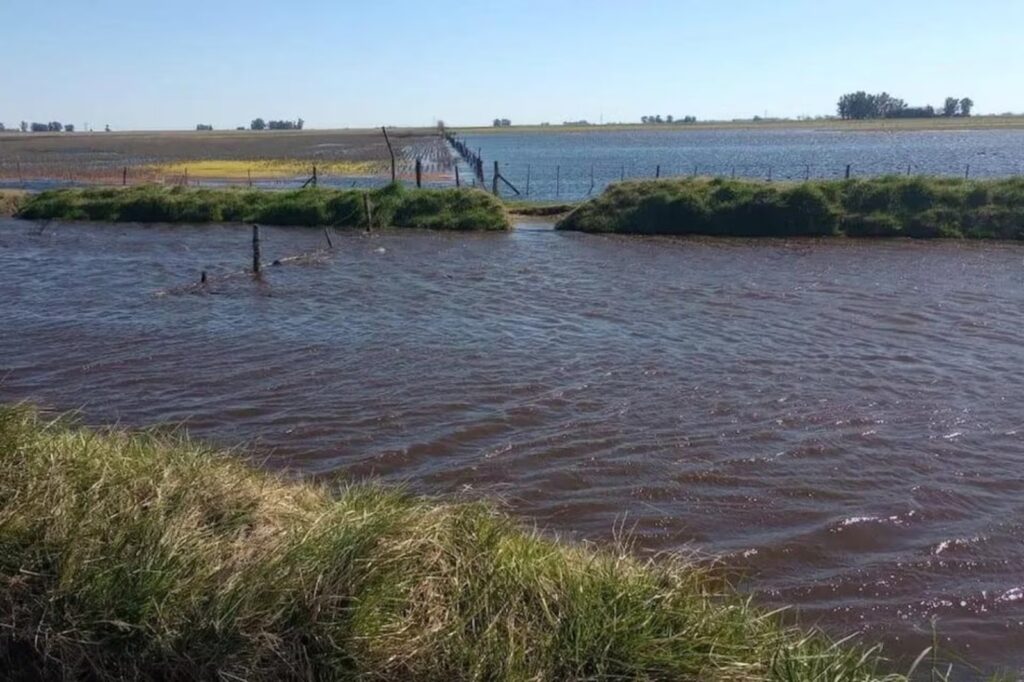 El proyecto de la legisladora "lilita" advirtió sobre el impacto hídrico de los canales no autorizados en distintos puntos de la provincia de Buenos Aires.