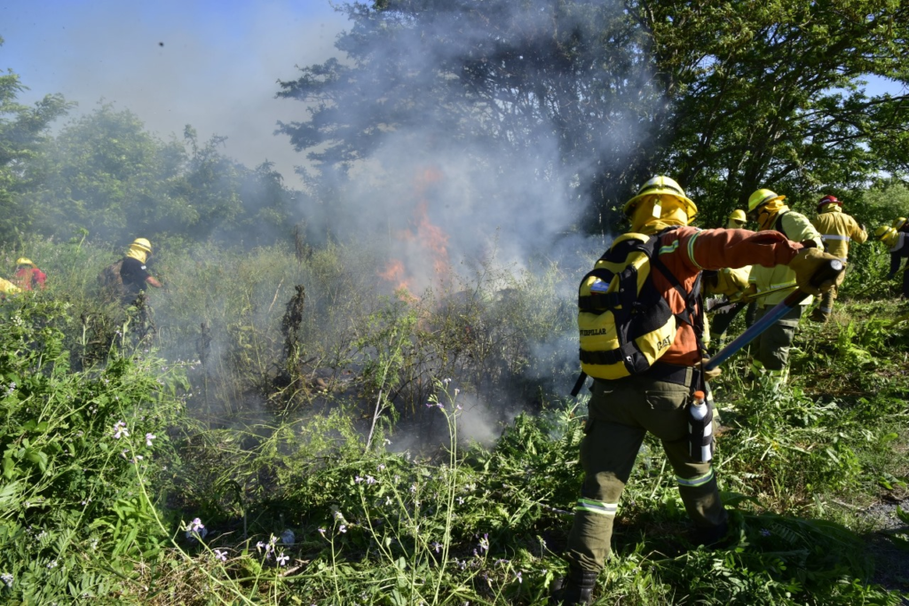 El diputado bonaerense, Valentín Miranda, volvió a pedir que se amplié la Ley de Manejo del Fuego, ante los incendios que azotan al país.
