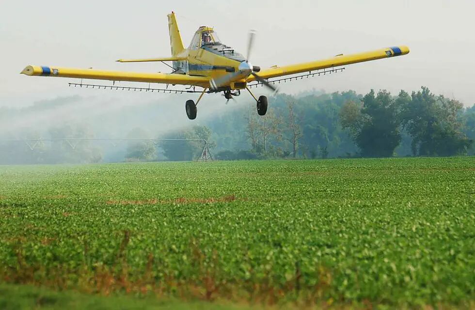 El juicio por el uso de agrotóxicos en Pergamino cuenta con 7 acusados y más de 100 testigos.