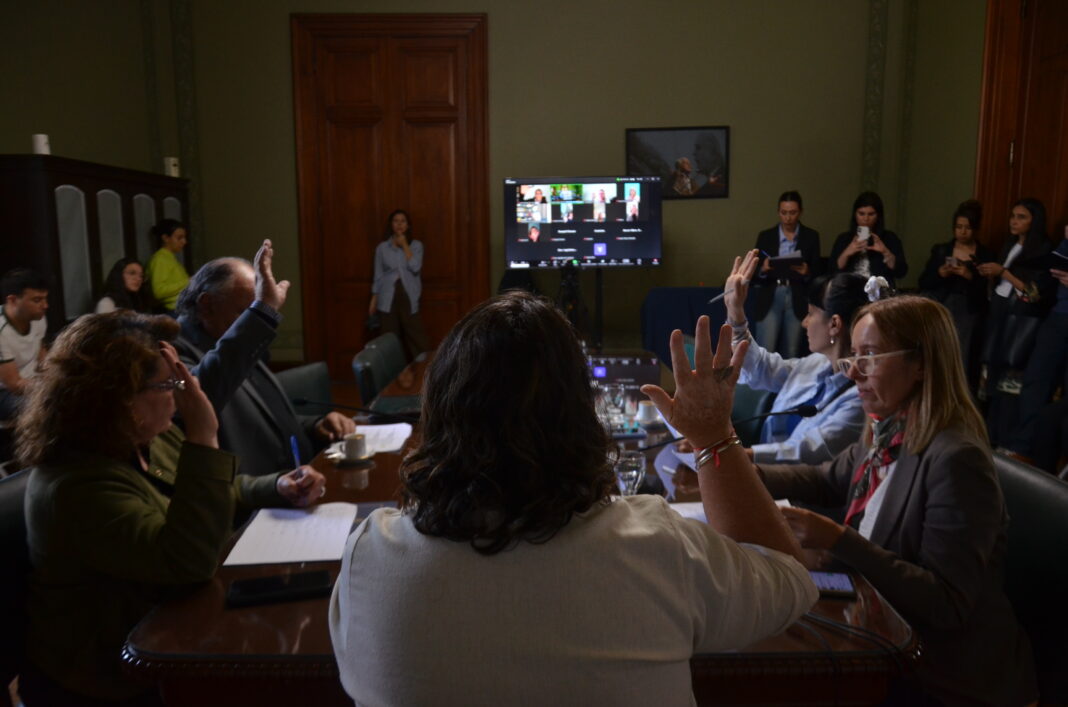 El Senado bonaerense deberá ponerse a armar el nuevo esquema de sus 27 comisiones permanentes. Los nombres que suenan para presidir las más importantes.
