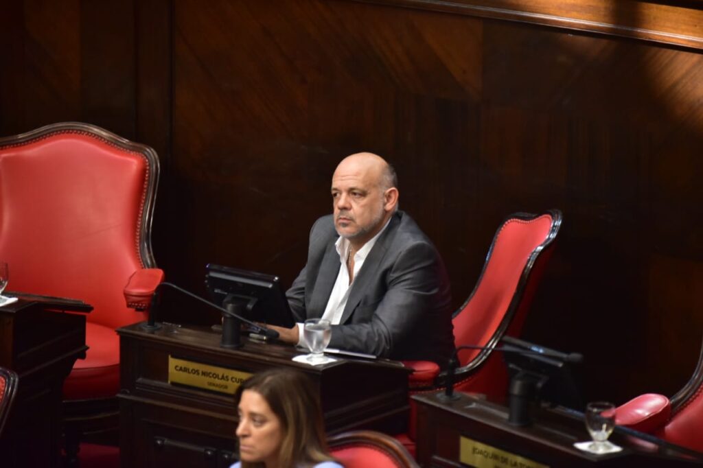 El senador bonaerense de LLA, Carlos Curestis, destacó que la reforma laboral viene a establecer "reglas más claras" en el ámbito laboral.
