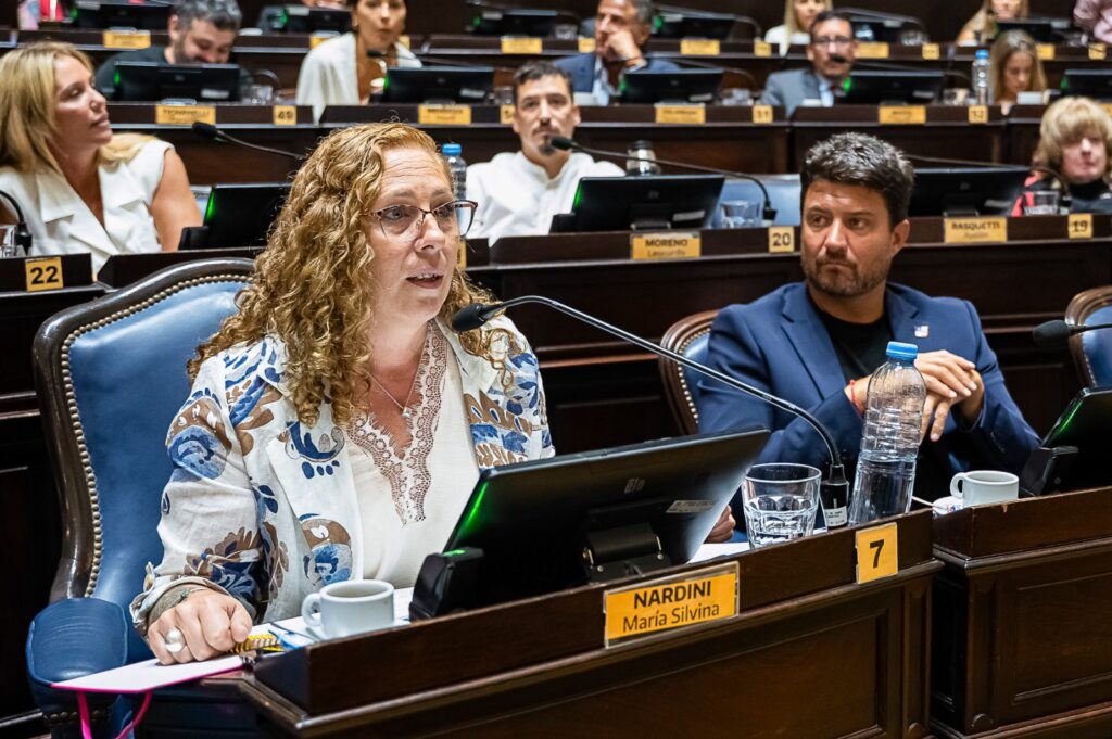 La diputada de UxP, Silvina Nardini, alertó sobre las consecuencias de la reforma laboral a la hora de discutir paritarias.