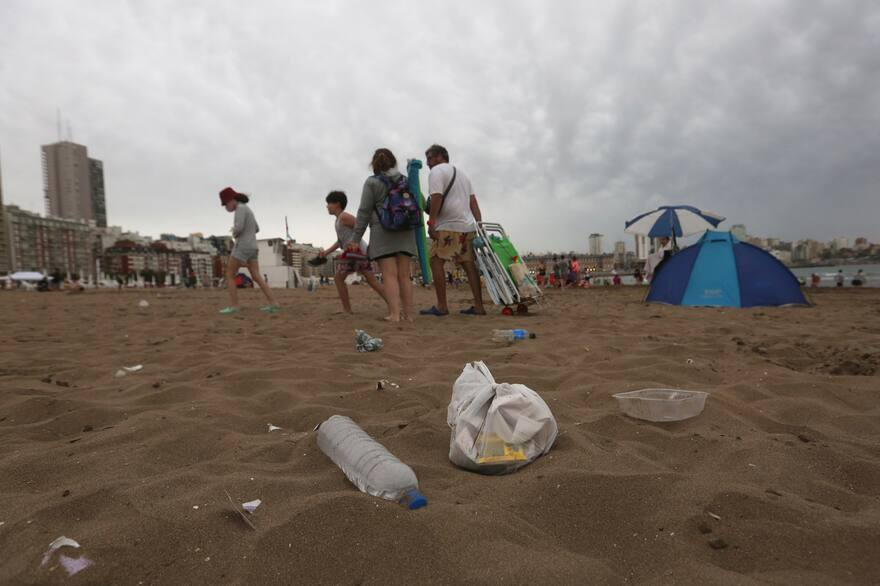 El Censo Provincial de Basura Costera Marina reveló que el 80% de los residuos en playas bonaerenses son plásticos y alertó por su impacto.