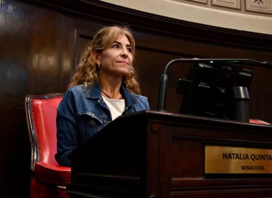 Ante el inicio de las sesiones ordinarias, la senadora bonaerense Natalia Quintana le reclamó a Kicillof que el discurso se centre en las problemáticas de la provincia.