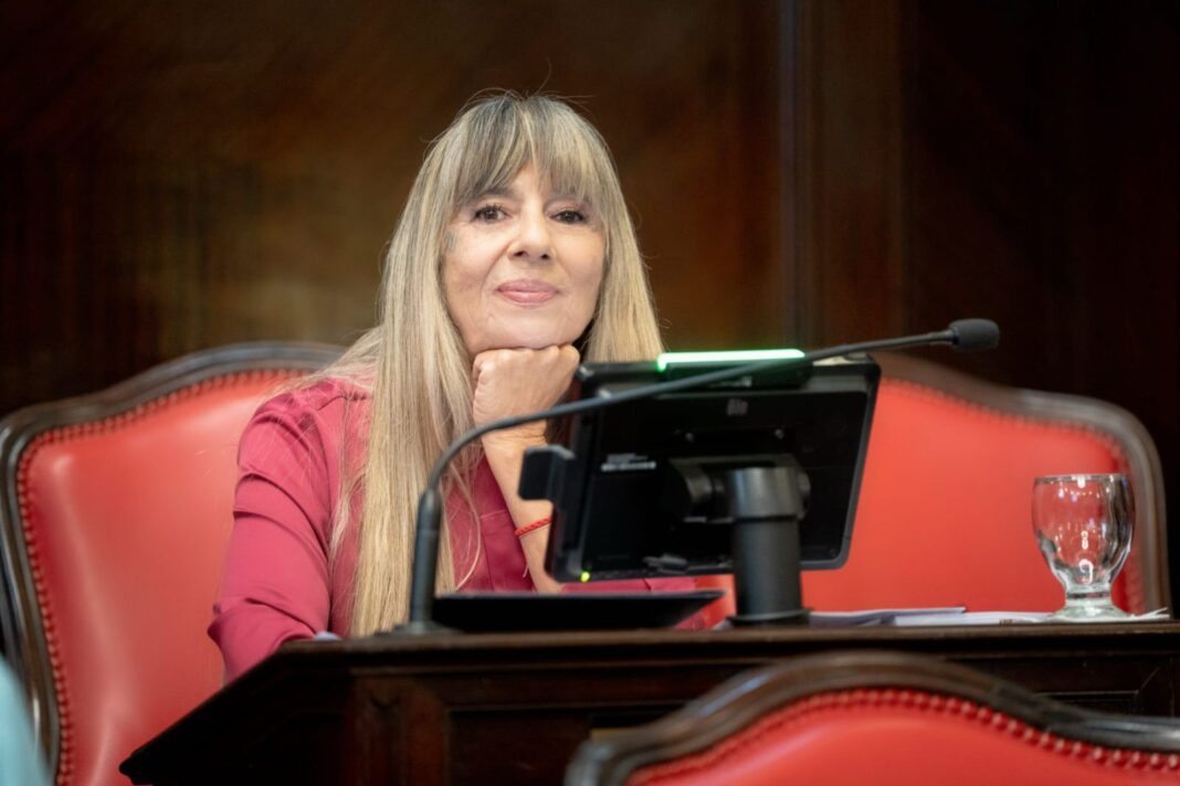 La senadora bonaerense, Laura Clark, salió con los tapones de punta a responderle a la bancada del PRO, tras sus criticas al discurso del gobernador Axel Kicillof.