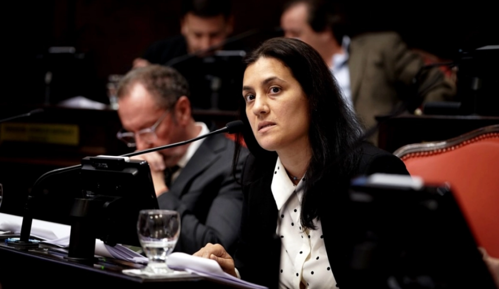 La diputada, Sofía Vannelli, cruzó a la intendenta de Vicente López, Soledad Martínez, y cuestionó distintos aspectos de la gestión municipal.