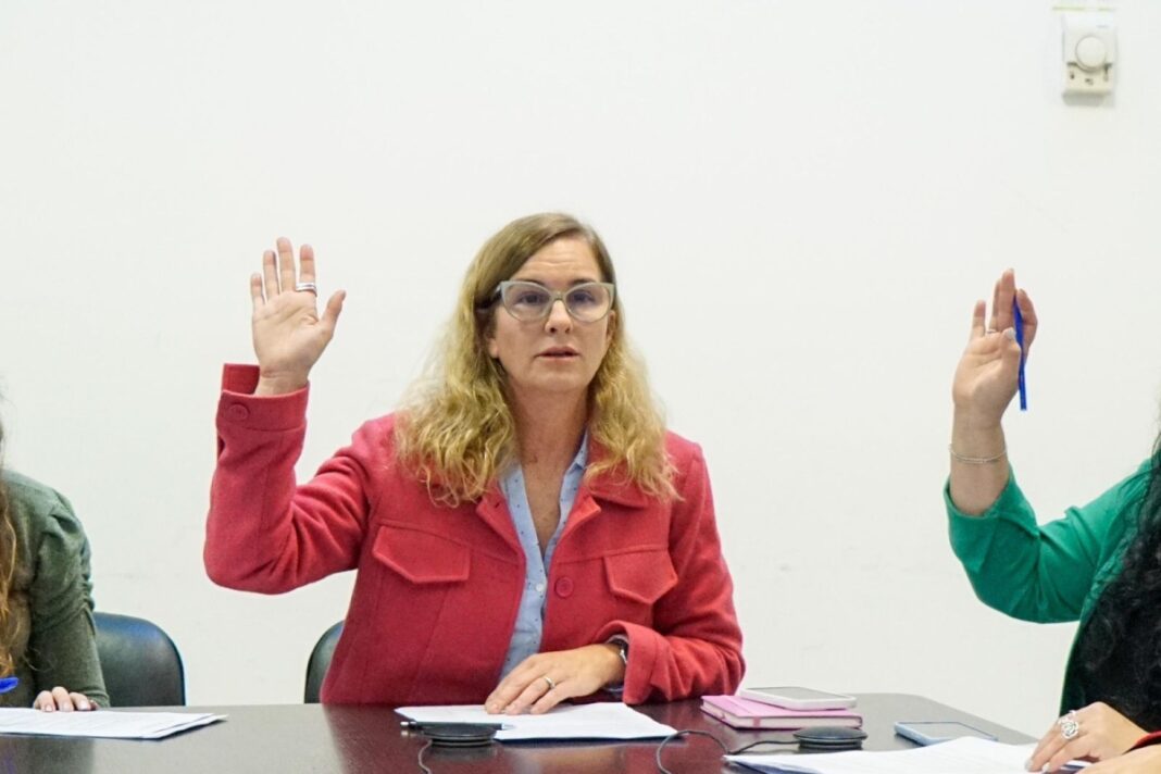 La diputada bonaerense del peronismo, Luciana Padulo, insistió con su proyecto para penalizar el hostigamiento digital en la provincia de Buenos Aires.
