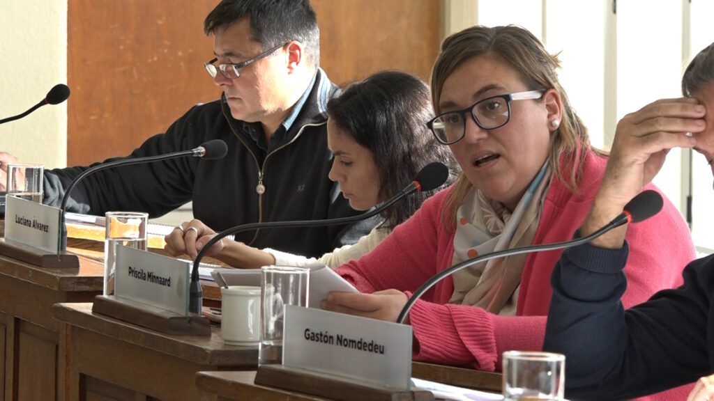En el marco del Día Internacional de la Mujer, la diputada, Priscila Minnaard, reflexionó sobre los avances y los desafíos pendientes.