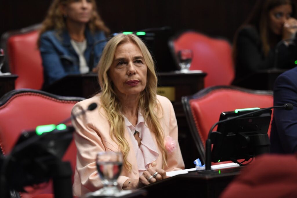 La libertaria Marisa Pirillo ocupó el escaño de Diego Valenzuela luego de la licencia que el dirigente solicitó para sumarse al Gobierno nacional.