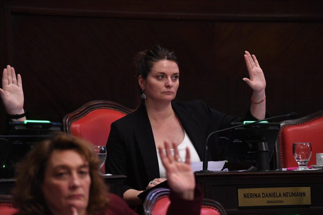 La senadora bonaerense del radicalismo, Nerina Neumann Losada, apuntó contra las tasas municipales y propuso aumentar la coparticipación de la Provincia.