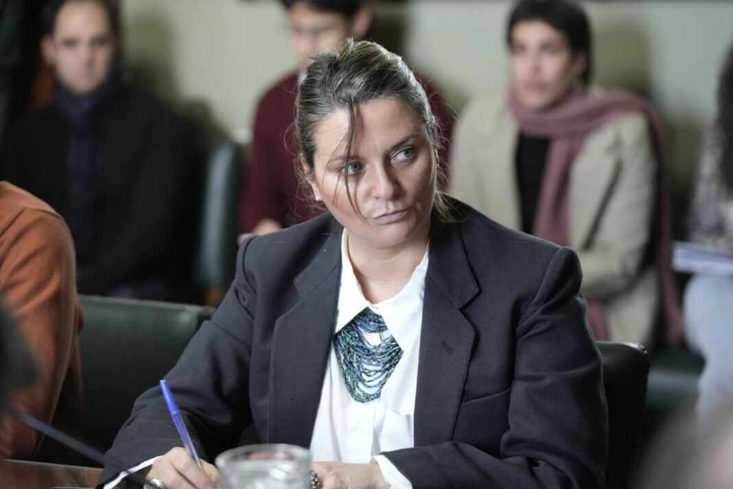 La senadora del radicalismo, Nerina Neumann, insistió con su reclamo para que Axel Kicillof le pida a Nación los recursos para repavimentar la Ruta 67.