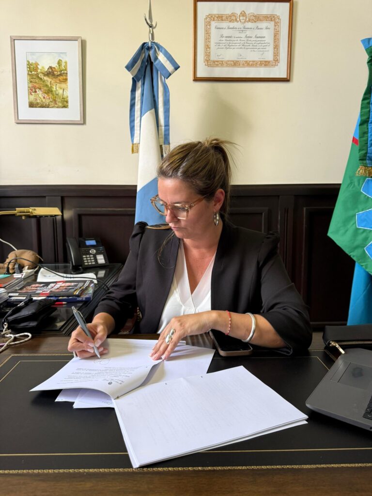 La senadora, Nerina Neumann, reflotó en la Legislatura el proyecto para implementar la Boleta Única de Papel en la provincia de Buenos Aires.