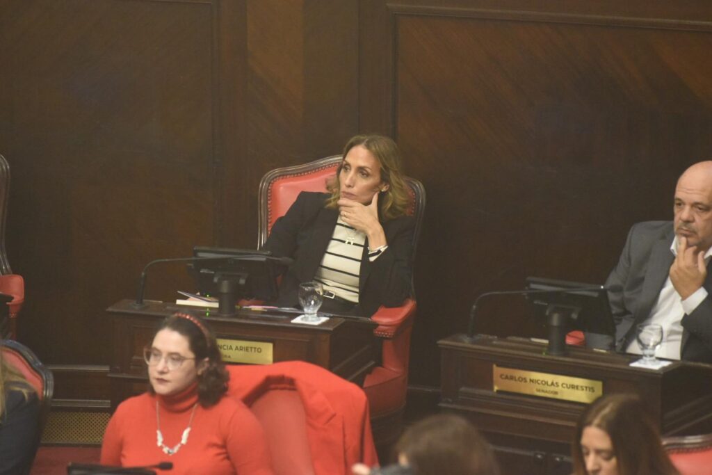 La senodora Florencia Arietto volvió a presentar un proyecto de su autoría para habilitar el uso de las Taser en la provincia de Buenos Aires.