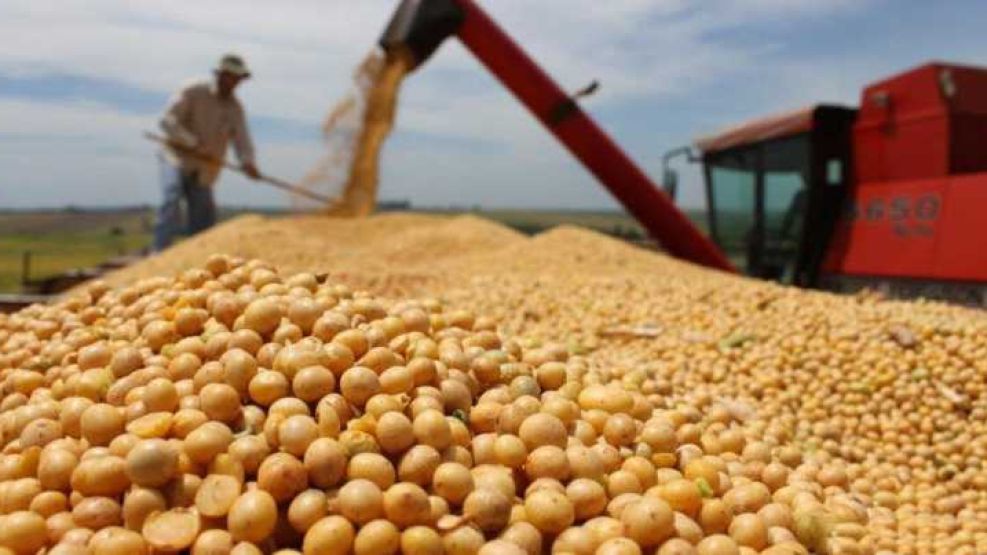 El Gobierno proyecta un salto en las exportaciones agropecuarias y apuesta al campo como una de las principales fuentes de divisas para sostener la actividad económica.