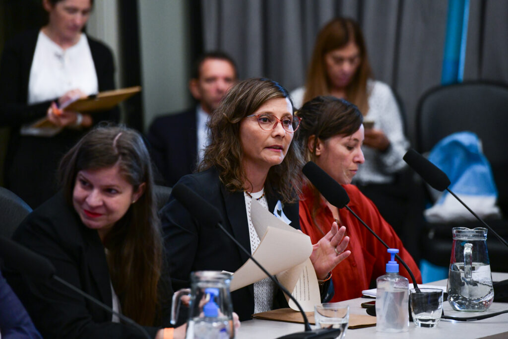Diputados presentaron un pedido de impugnación contra la audiencia pública por la reforma de la Ley de Glaciares, luego de advertir que el oficialismo cerceno la participación popular.