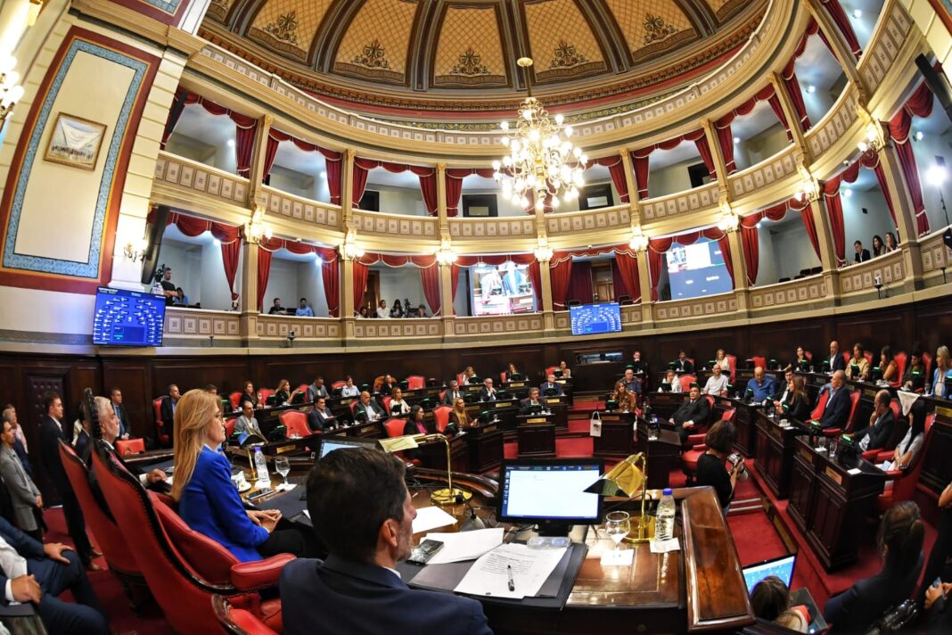 El Senado bonaerense tuvo su sesión especial por el Día de la Memoria en el marco del 50 aniversario de la última dictadura cívico-militar que sufrió la Argentina.