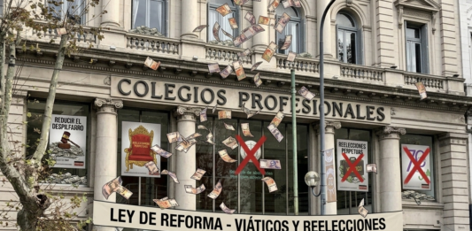 La diputada camporista Maite Alvado presentó una ley marco que busca unificar criterios para los colegios profesionales. Viaticos y reelecciones en la mira.
