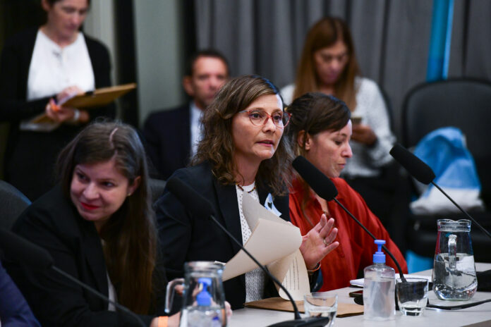 Diputados presentaron un pedido de impugnación contra la audiencia pública por la reforma de la Ley de Glaciares, luego de advertir que el oficialismo cerceno la participación popular.