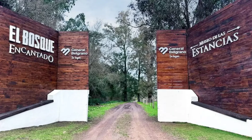 El diputado Diego Garciarena busca declarar como área protegida al Bosque Encantado de General Belgrano para garantizar su preservación.