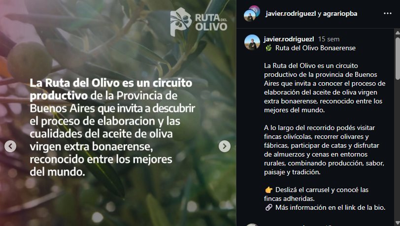 La senadora Nerina Neumann propone crear un régimen de promoción de la olivicultura a fin de impulsar la actividad productiva del sur bonaerense. 
