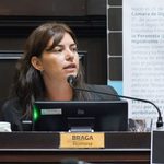 Cuando la mentira reemplaza al debate, por Romina Braga Cuando la mentira reemplaza al debate