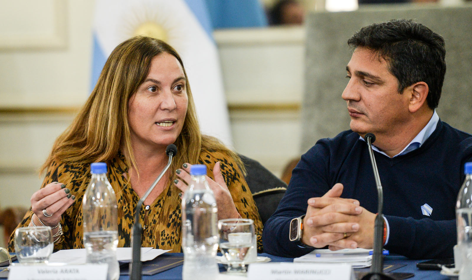 La senadora bonaerense del Frente Renovador, Valeria Arata, repudió el recorte en el Programa Remediar.