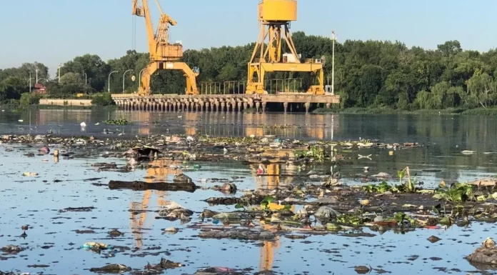 Senadores piden explicaciones a Kicillof tras el embargo judicial por el estado del arroyo El Gato El senador libertario, Carlos Curestis, pidió informes a Provincia por el saneamiento del Arroyo El Gato, tras el embargo judicial y la falta de obras.