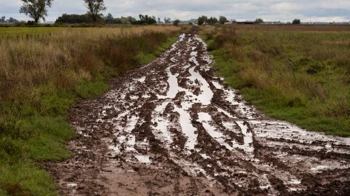 Crece el malestar del campo por el estado de los caminos rurales: “Complica la producción”