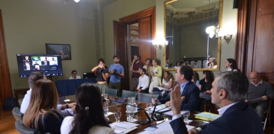 El Senado bonaerense convocó a la comisión de Legislación General y apura el regreso del trabajo de los demás cuerpos parlamentarios.