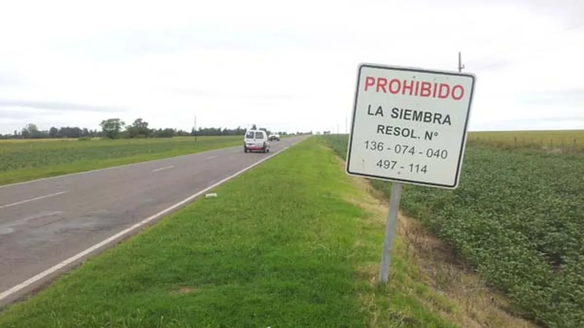 El diputado nacional del PRO busca revertir una resolución de 2008 que prohibió la utilización de las banquinas para siembra a nivel nacional. 