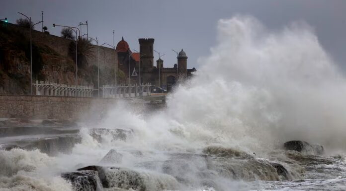 Tras el temporal en la costa, el peronismo presentó una ley para prevenir desastres naturales Tras el temporal que azotó a la Costa Atlántica, el senador bonaerense, Sergio Berni, reflotó la ley para prevenir desastres naturales. Todos los detalles.