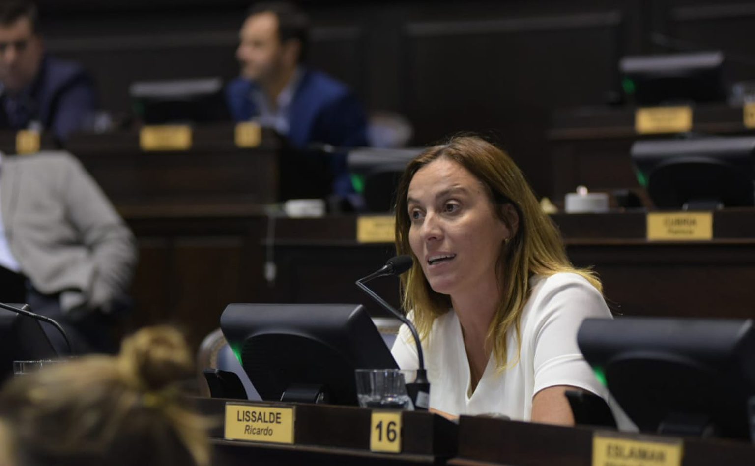 La senadora bonaerense Valeria Arata anticipó iniciativas legislativas para rechazar la modificación del régimen de Zona Fría impulsada por el Gobierno nacional.
