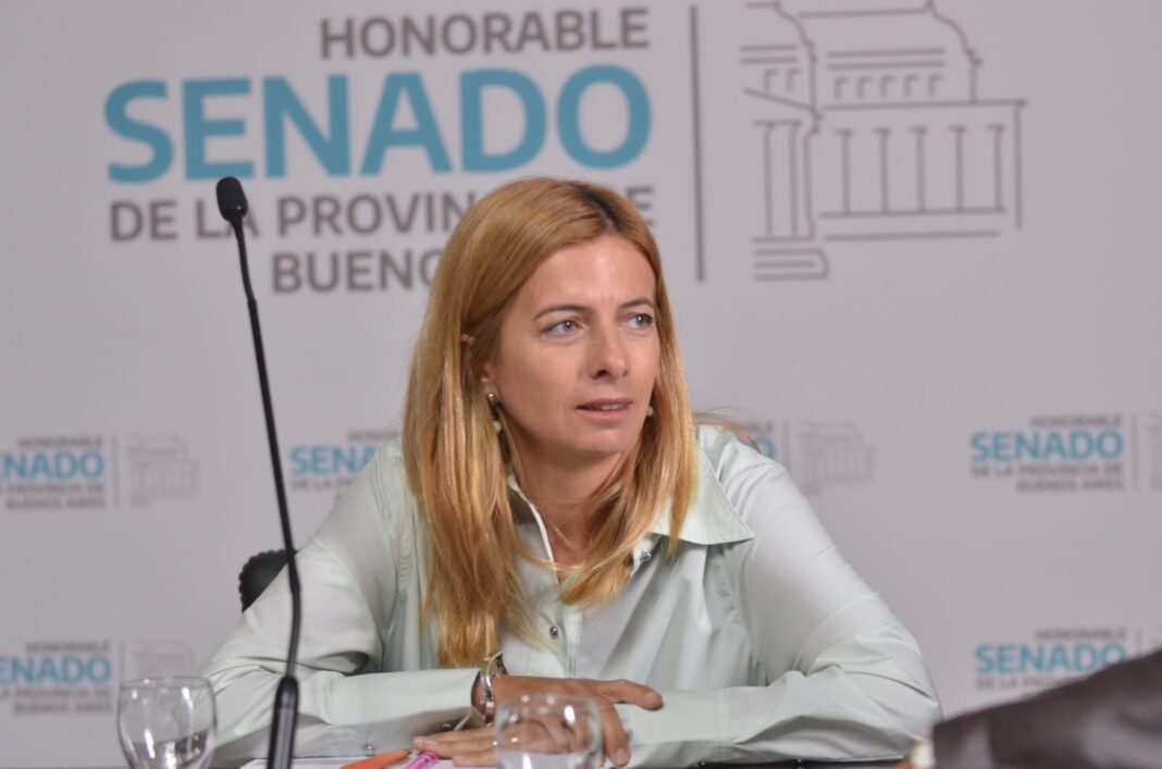 La legisladora de Hechos - UCR Identidad, María Emilia Subiza, asumió como nueva titular de la comisión de Ambiente del Senado bonaerense.
