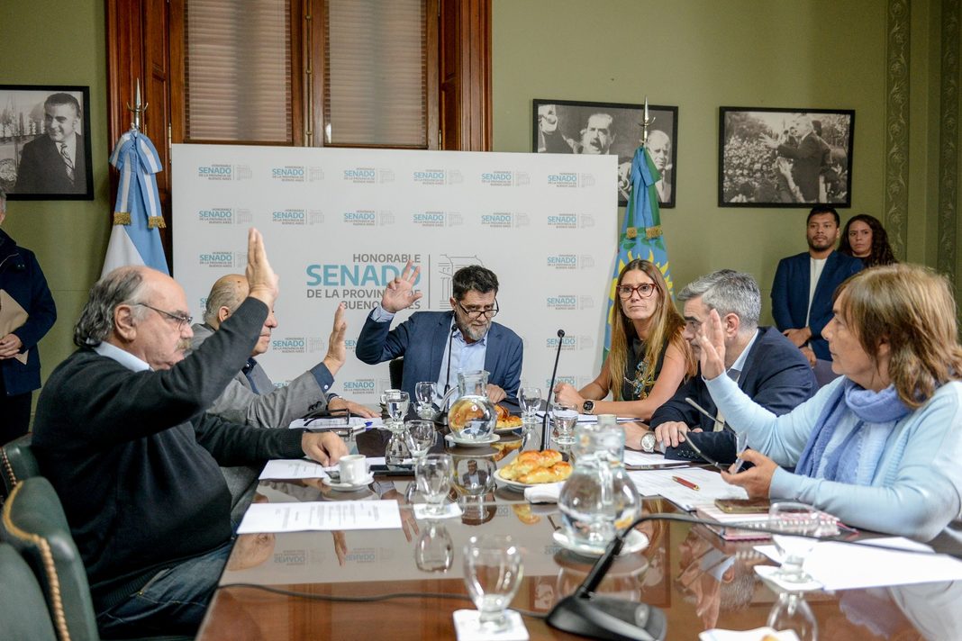 Pese a la fuerte interna dentro del oficialismo, el Senado bonaerense logró poner en marcha un puñado de comisiones. Los detalles.