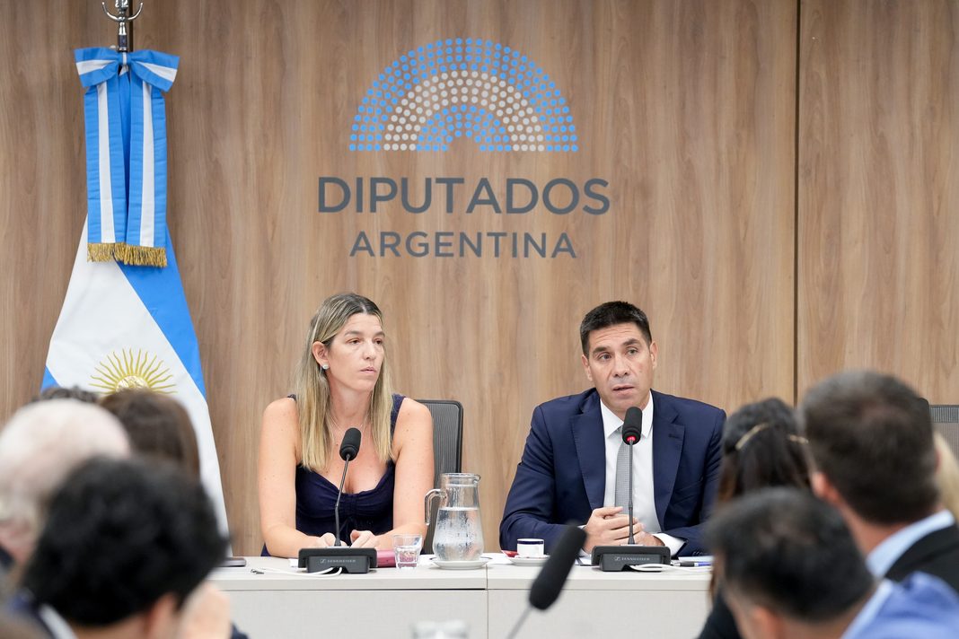 Diputados del oficialismo comenzará este miércoles a debatir en comisiones el proyecto que redefine el régimen de Zona Fría, que establece beneficios a las tarifas de gas.