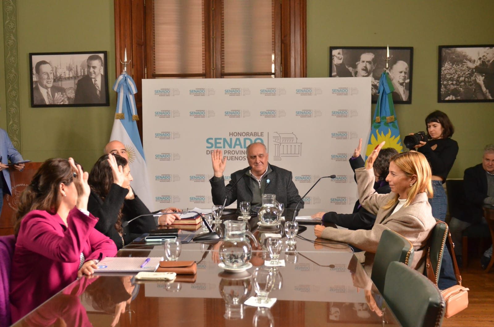 Senado bonaerense: Borgini destacó la necesidad de que la comisión de Salud Pública sesione en los municipios.
