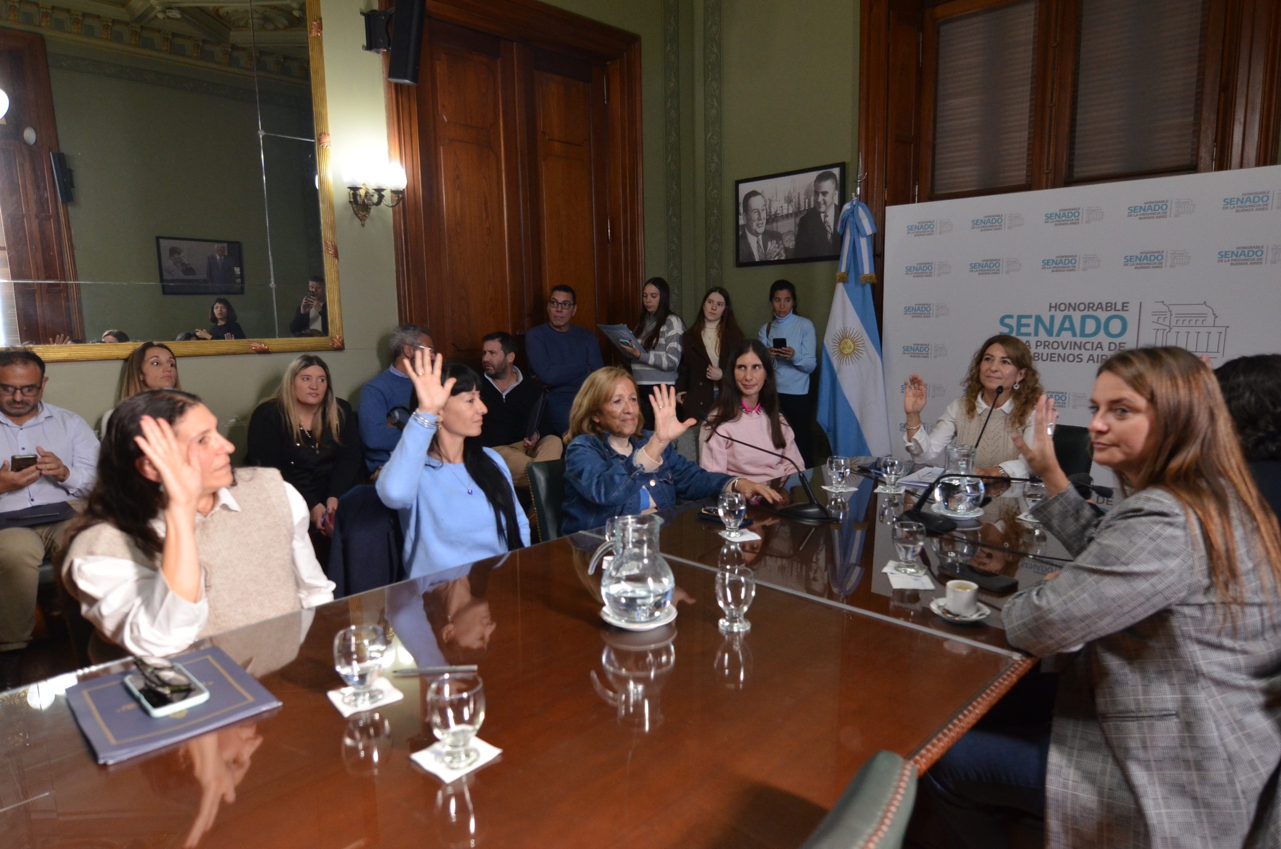 Mónica Macha y Amira Curi, senadoras integrantes de la comisión, impulsan la creación de una comisión específica de Género y Diversidad dentro de la Cámara alta provincial.