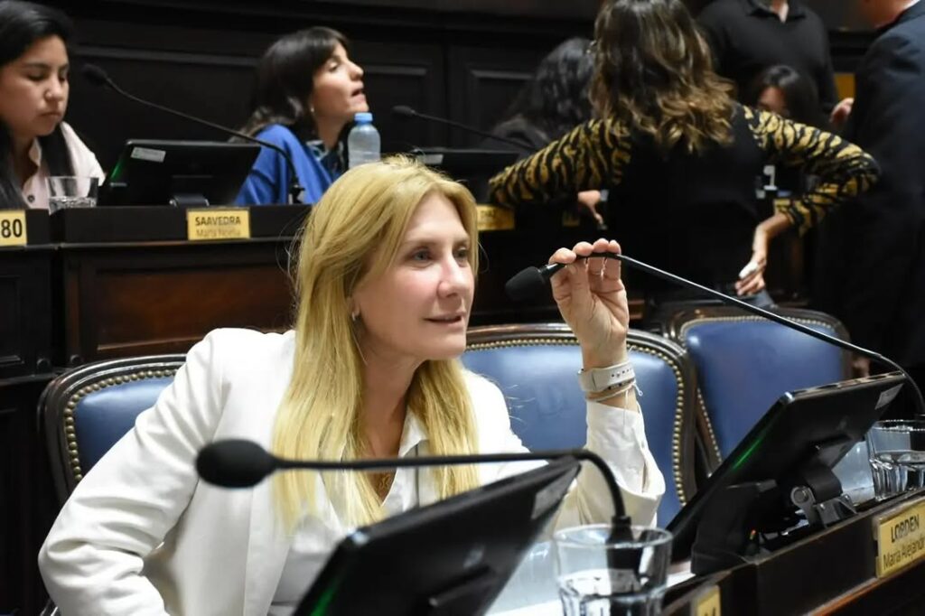 El bloque de diputados de la UCR - Unión Cívica Radical, liderado por Alejandra Lordén, presentó un proyecto para crear una Comisión Bicameral que fiscalice y normalice las prestaciones en IOMA. 